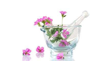 Image of geraniums in a glass mortar isolated on white background.