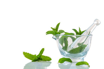 Image of mint leaves in glass mortar isolated on white background.