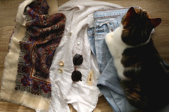 Mom jeans, white blouse, floral scarf, sunglasses, gold rings and pearl barrete on wooden background. Cute tabby cat lying on the jeans. Flat lay.