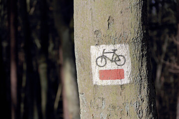 A sign designating a bicycle route in the forest in Poland