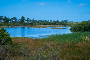 Naples Botanical garden Estuary South Florida