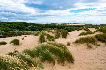 Grüne Dünenlandschaft an der englischen Küste