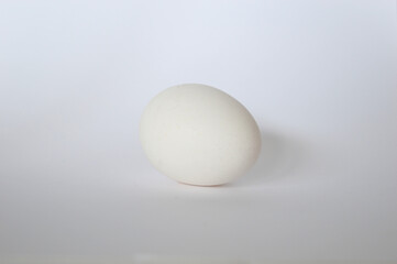 white egg on white background
