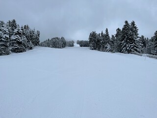 Fototapeta na wymiar Ski piste in der verschneiten Winterlandschaft
