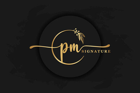 Pm initial handwriting logo design with brush Vector Image