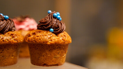 Chocolate Cream Cupcake and Blurred Background
