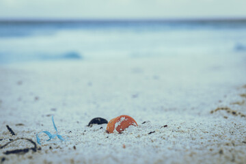 Sand and Litter