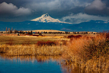 Mt Hood Oregon looming above a pond and wheat ranch near Maupin.