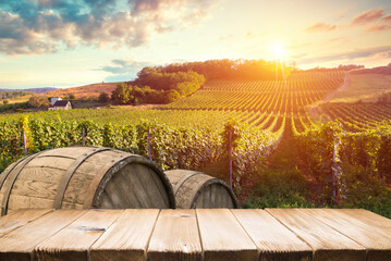 Ripe wine grapes on vines in Tuscany, Italy. Picturesque wine farm, vineyard. Sunset warm light - obrazy, fototapety, plakaty