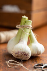 Whole garlic bulb. Fresh white garlic on wooden table.