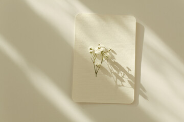 Empty Blank texture canvas paper card with copy space text message and gypsophila flower. Light and shadows minimalism style template background. Flat lay, top view.