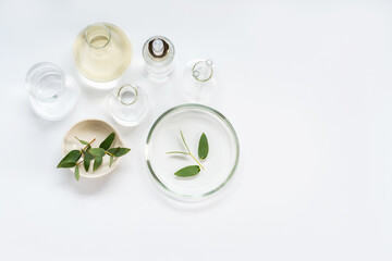 Alternative natural medicine and glassware, flasks and petri bowl. Alternative medicine herbs. Natural beauty skin care products. Concept research and development.