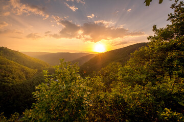 Sunset in the Hunsrück forest, Germany