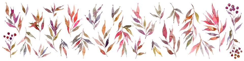 Watercolor branches with multicolored leaves and berries, Clipart Set, Isolated Elements on white background,  