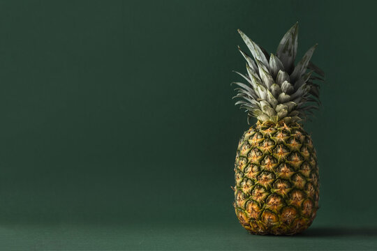 Whole pineapple on the dark green background with copy space for your text. Summertime background with tropic feel