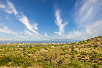 Fototapeta na wymiar Nature in Aegina island, Greece