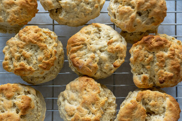 Homemade scones are on a cooling rack. View from above.