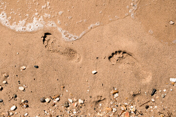 Top view of a sea sand with footprint in it. Background, texture, summer vibes