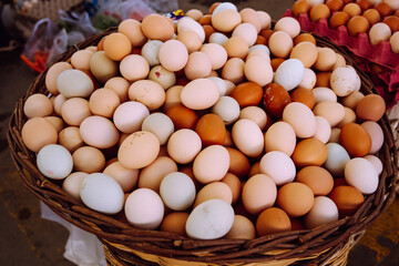 Different Chicken eggs.  Organic eggs in paper box. Soft focus.
