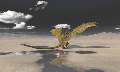 dragon is standing up and ready to attack on the desert after rain cool rear view