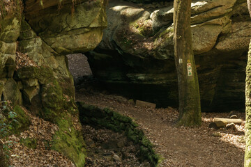 Fototapeta na wymiar Path through rock crevice with tree trunk besides in the sunlight, Mullerthal, Berdorf, Luxembourg