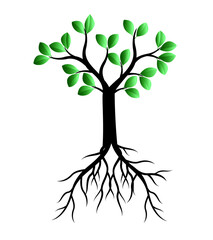 Fototapeta premium Green Tree. Vector outline Illustration.