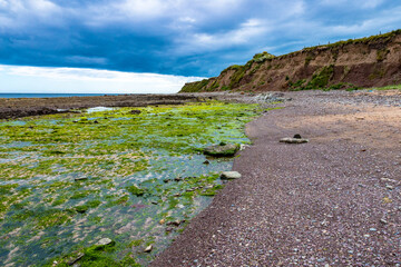 Steinige Felsenlüste am Meer mit Moos