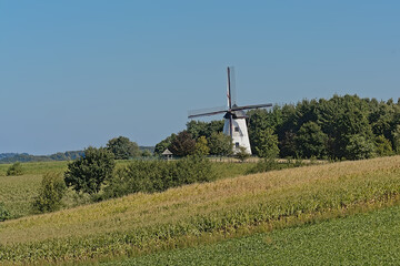farm landscape with agricultural fields, forest and historic windmill on a sunny summerday in Maarkedal, Flanders, Belgium 