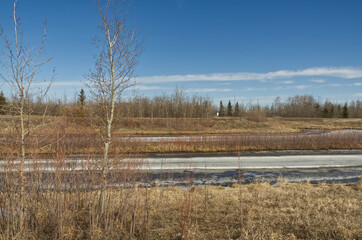 Pylypow Wetlands in the Early Spring