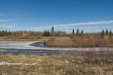 Pylypow Wetlands in the Early Spring