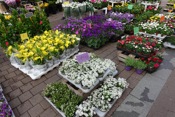 vielfältiges Angebot vor einem Blumengeschäft