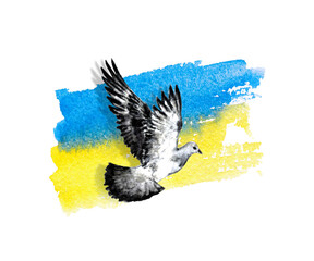 Ukrainian flag shape dove peace watercolor isolated on white background. Watercolor abstract drawing Ukrainian flag in heart.