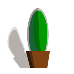 green cactus in a brown pot