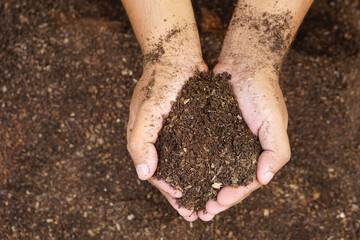 Fertile soil is used for growing plants in human hands.
