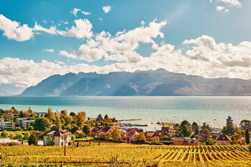 Beautiful landscape of Lavaux vineyards and lake Geneva, Pully, Switzerland - obrazy, fototapety, plakaty