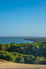 Fototapeta na wymiar Dune du Pilat, forest of pine trees and Arcachon bay on the background a day of summer