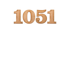 Number 1051 - Piece of wood isolated on white background