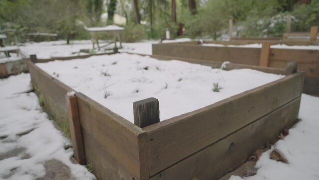 snow covered garden beds