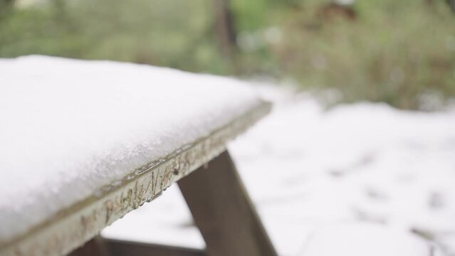 snow covered bench in the park