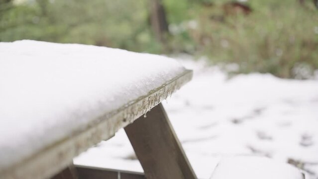 snow covered bench