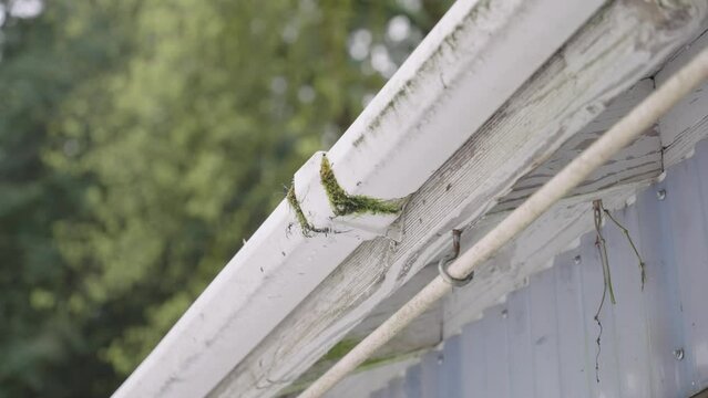 leaking gutters