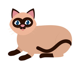 himalayan cat icon