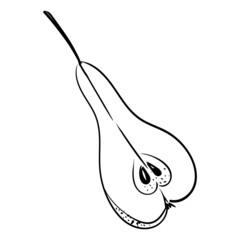Pears hand drawn outline. The black line art on a white background. Vector element isolated.