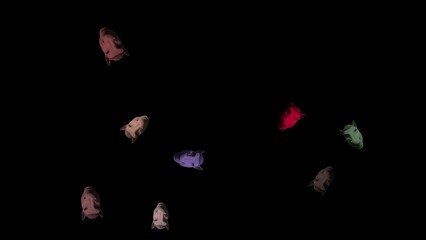 animation of a rotating head with an expression on a dark background