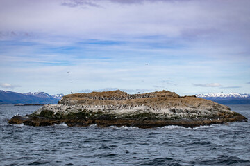 View of the island of birds at the end of the world.