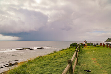 Magpie sitting on the fence with beach view at Bennetts Head Lookout, Forster NSW Australia