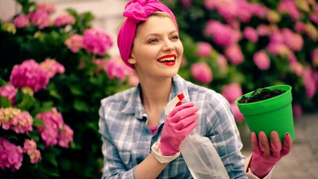 Woman watering flowers in pot. Gardening ib backyard. Cheerful blond woman planting flowers in garden.