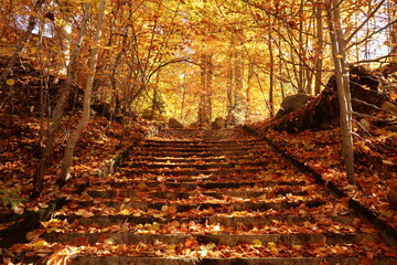 Picturesque view onto stairs in the woods of Rila Monastery in autumn