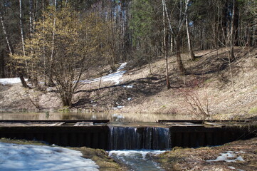 park.spring. Creek. spring forest. thawed patch. first sprout. rebirth. holiday of life....