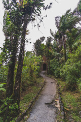 Path to Mt Britton Lookout tower El Yunque National Forest Puerto Rico